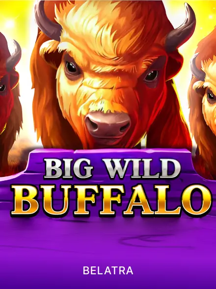 Big Wild Buffalo at Betamina